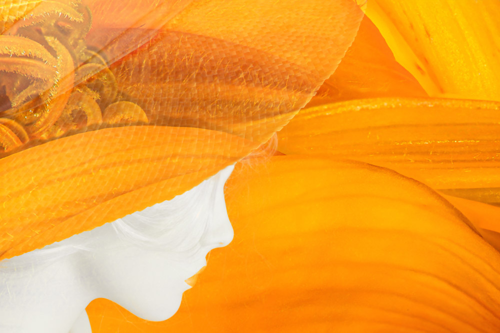 Platz 2 Daniela Korn